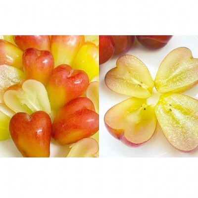 【2026年先行受付】 マイハート  1房  約500g 岡山県産 [No.5735-2088]