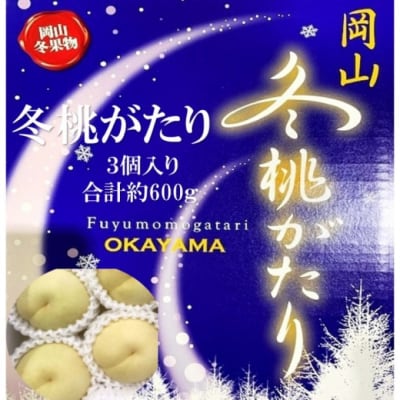 【2026年先行受付】 冬桃がたり 3個入り 合計約600g  岡山県産[No.5735-2090]