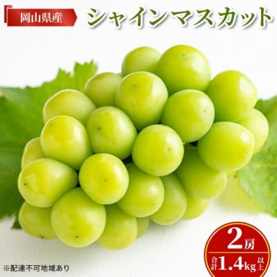 【先行受付】シャイン マスカット 2房 (合計1.4kg以上) 岡山県産[No.5735-2127]