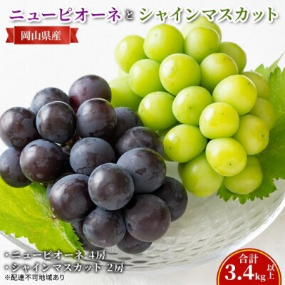 ニューピオーネ4房・シャインマスカット2房(合計3.4kg以上)岡山県産[No.5735-2130]