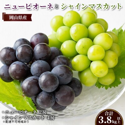 ニューピオーネ2房・シャインマスカット4房(計3.8kg以上) 岡山県産[No.5735-2131]