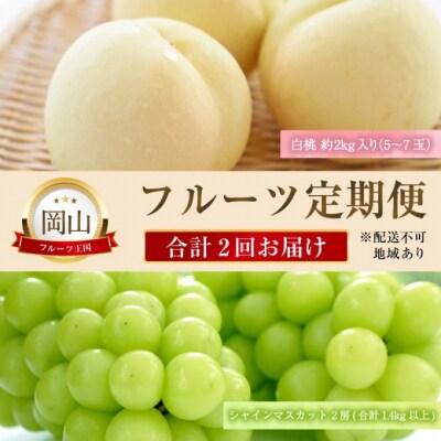 定期便 晴れの国おかやま の 白桃 5玉～7玉・シャインマスカット 2房[No.5735-2132]