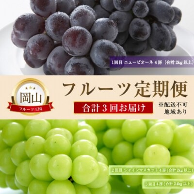 晴れの国おかやまのフルーツ定期便 ニュー ピオーネ・シャインマスカット [No.5735-2134]
