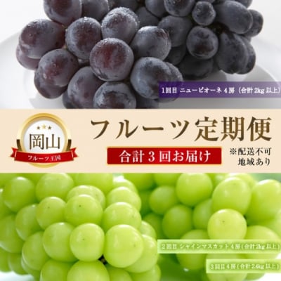 晴れの国おかやまのフルーツ定期便 ニュー ピオーネ・シャインマスカット [No.5735-2134]