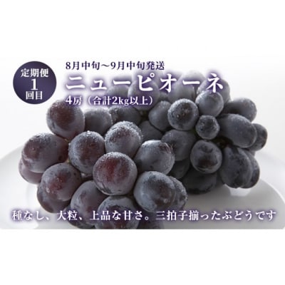 晴れの国おかやまのフルーツ定期便 ニュー ピオーネ・シャインマスカット [No.5735-2134]