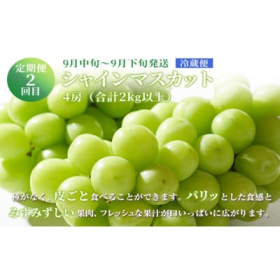 晴れの国おかやまのフルーツ定期便 ニュー ピオーネ・シャインマスカット [No.5735-2134]