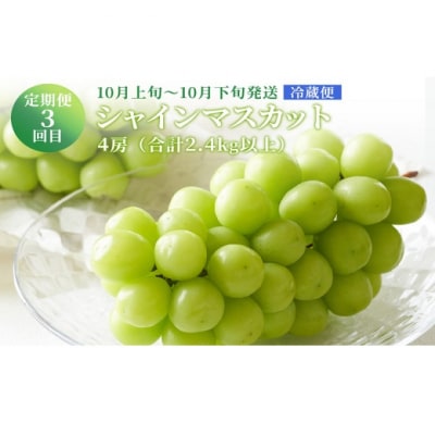 晴れの国おかやまのフルーツ定期便 ニュー ピオーネ・シャインマスカット [No.5735-2134]