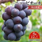 【2025年先行受付】 ニュー ピオーネ 4房 合計2kg以上 岡山県産[No.5735-2136]