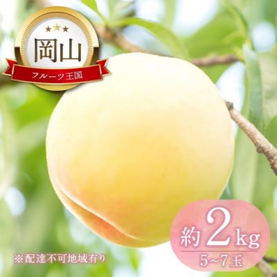 ̍    2kg (5ʁ`7)  RY [No.5735-2129]