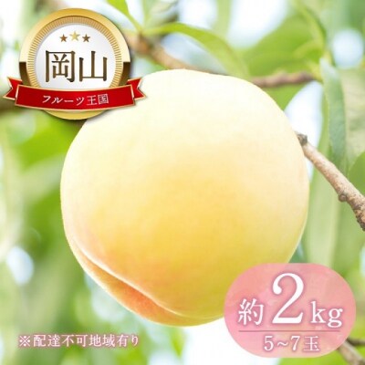 晴れの国 おかやま の 白桃 2kg (5玉～7玉)  岡山県産 [No.5735-2129]
