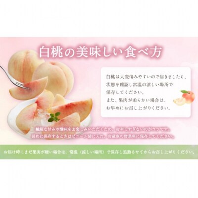 晴れの国 おかやま の 白桃 2kg (5玉～7玉)  岡山県産 [No.5735-2129]