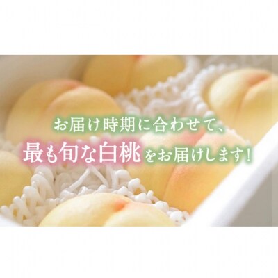 晴れの国 おかやま の 白桃 2kg (5玉～7玉)  岡山県産 [No.5735-2129]