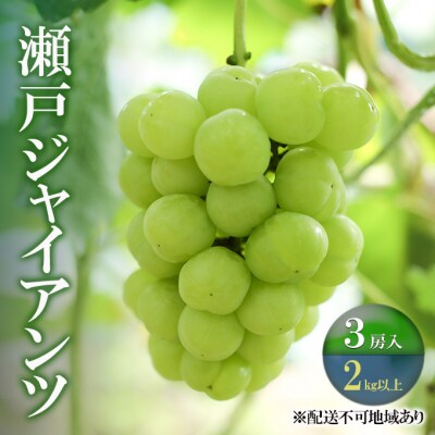【2026年先行受付】 瀬戸ジャイアンツ 3房(合計2kg以上)岡山県産[No.5735-2101]