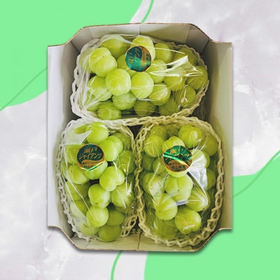 【2026年先行受付】 瀬戸ジャイアンツ 3房(合計2kg以上)岡山県産[No.5735-2101]