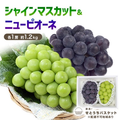 VC}XJbg&j[ sI[l  e1[ 1.2kg  RY[No.5735-3262]