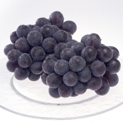 シャインマスカット&ニュー ピオーネ  各1房 約1.2kg  岡山県産[No.5735-3262]