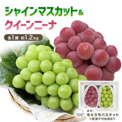 VC}XJbg & NC[j[i e1[ 1.2kg RY [No.5735-3263]