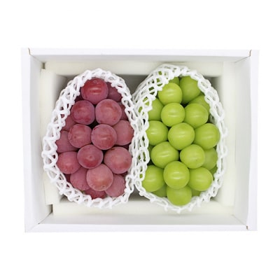 シャインマスカット & クイーンニーナ 各1房 約1.2kg 岡山県産 [No.5735-3263]