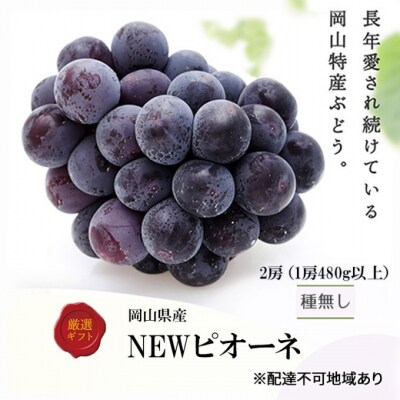 ニューピオーネ 2房(1房480g以上) 化粧箱入り 岡山県産 [No.5735-3268]