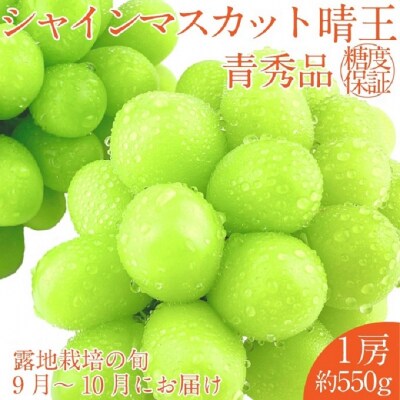 シャインマスカット 晴王 1房(約550g)9～10月出荷 岡山県産 [No.5735-2113]