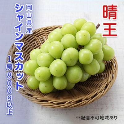 【先行受付】シャインマスカット晴王 1房800g以上 岡山県産[No.5735-3304]