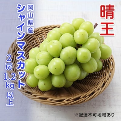 【先行受付】シャインマスカット 晴王 2房 合計1.2kg以上 岡山県産[No.5735-3306]