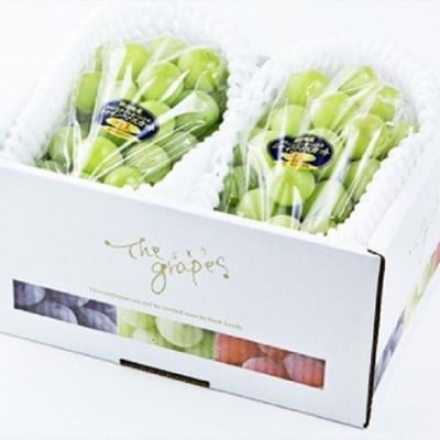 【先行受付】シャインマスカット 晴王 2房 合計1.2kg以上 岡山県産[No.5735-3306]