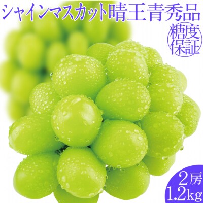 シャインマスカット 晴王 2房 (約1.2kg)7～8月出荷 岡山県産 [No.5735-2144]