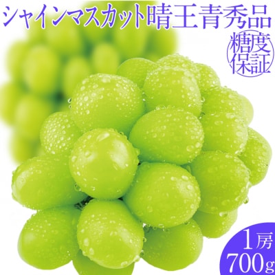 シャインマスカット 晴王 1房 (約700g) 7～8月出荷 岡山県産 [No.5735-2143]