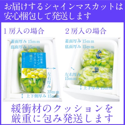シャインマスカット 晴王 1房 (約700g) 7～8月出荷 岡山県産 [No.5735-2143]