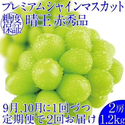 【2回定期便】プレミアムシャインマスカット晴王2房(約1.2kg)岡山産[21A5016]