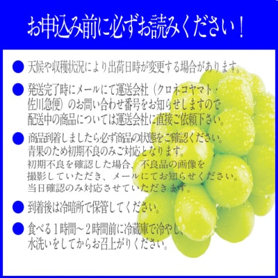 【2回定期便】プレミアムシャインマスカット晴王2房(約1.2kg)岡山産[21A5016]