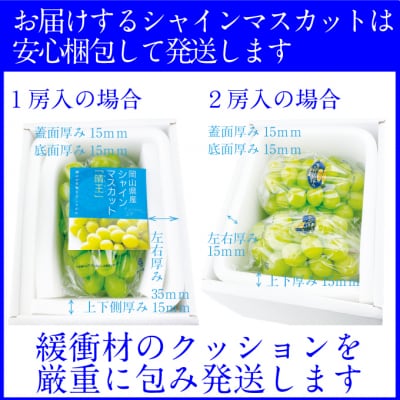 【2回定期便】プレミアムシャインマスカット晴王2房(約1.2kg)岡山産[21A5016]