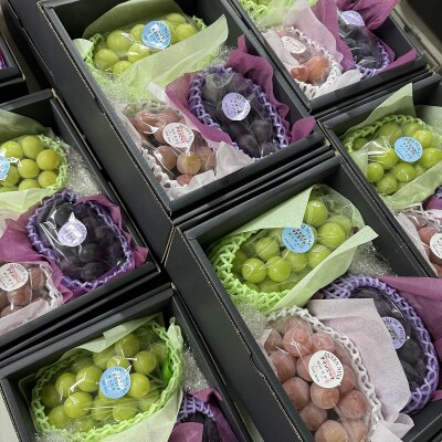 こだわりのシャインマスカット&お任せ2品種 3房(約1.2kg)岡山県産[No.5735-3308]