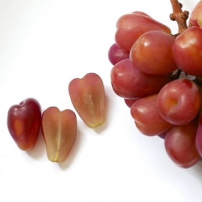 こだわりのシャインマスカット&マイハート(計約1.0kg)優品 岡山県産[No.5735-3310]