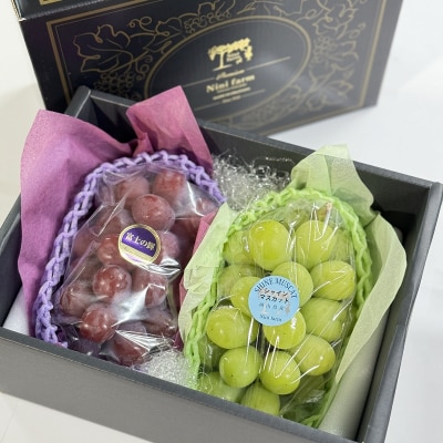 富士の輝&こだわりのシャインマスカット(計約1.2kg) 秀品 岡山県産[No.5735-3312]