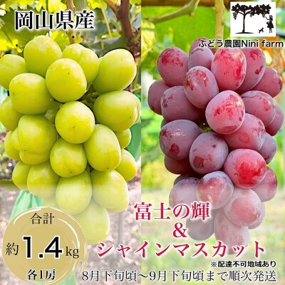 富士の輝&こだわりのシャインマスカット(計約1.4kg )秀品 岡山県産[No.5735-3313]