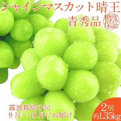 シャインマスカット 晴王 2房(約1.35kg)9～10月出荷 岡山県産[No.5735-2117]