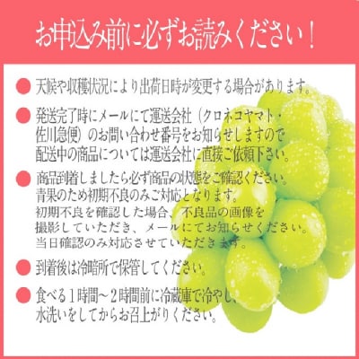 シャインマスカット 晴王 2房(約1.35kg)9～10月出荷 岡山県産[No.5735-2117]