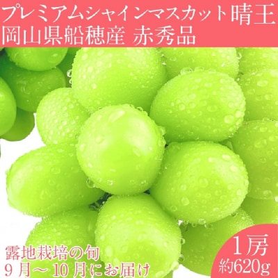 プレミアム シャインマスカット 晴王 1房(約620g)赤秀品 岡山県産[No.5735-2122]