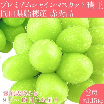 プレミアムシャインマスカット晴王 2房(約1.15kg)赤秀品 岡山県産[No.5735-2124]