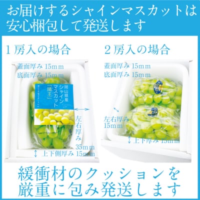 【先行受付】 シャインマスカット 晴王 1房 (約750g) 岡山県産 [No.5735-2156]