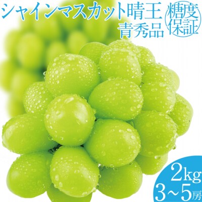 【先行受付】 シャインマスカット晴王 3～5房 (約2kg) 岡山県産 [No.5735-2161]