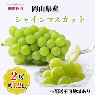 御贈答用 岡山県産 シャインマスカット 2房入り (1.2kg以上) [No.5735-3347]
