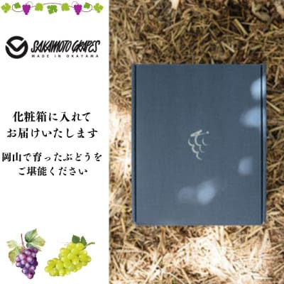希少品種 御贈答用 岡山県産 冬ぶどう 紫苑 2房入(1.2kg以上) [No.5735-3348]