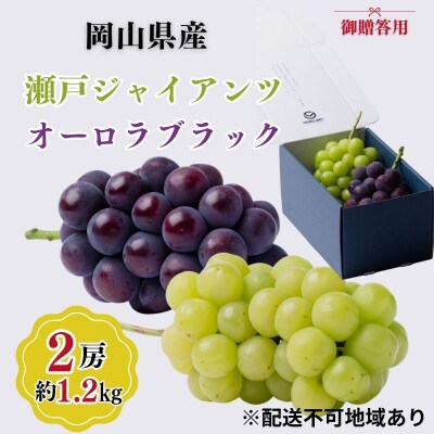 岡山県産 瀬戸ジャイアンツ オーロラブラック 2房入(1.2kg以上) [No.5735-3349]