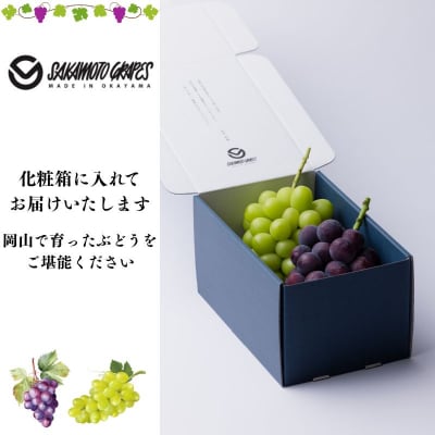 岡山県産 瀬戸ジャイアンツ オーロラブラック 2房入(1.2kg以上) [No.5735-3349]