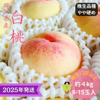 白桃 特秀 ロイヤル 大玉 晩生品種 約4kg(8～15玉) 岡山県産 [No.5735-3333]
