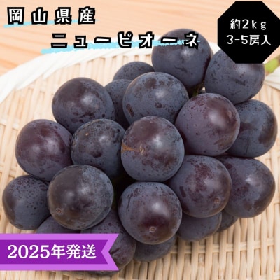 【2025年受付】ニューピオーネ 秀品 約2kg (3～5房) 岡山県産[No.5735-3345]