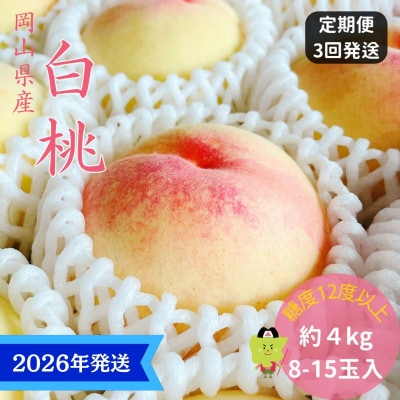 【2026年先行受付】3回 定期便 白桃 特秀 ロイヤル 大玉 岡山県産[No.5735-3334]